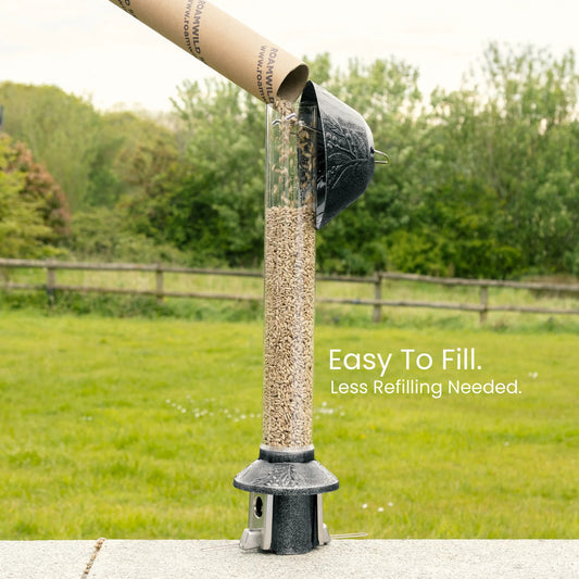 🐦Squirrel-Proof Bird Feeder 2.0 – Antique Platinum Finish