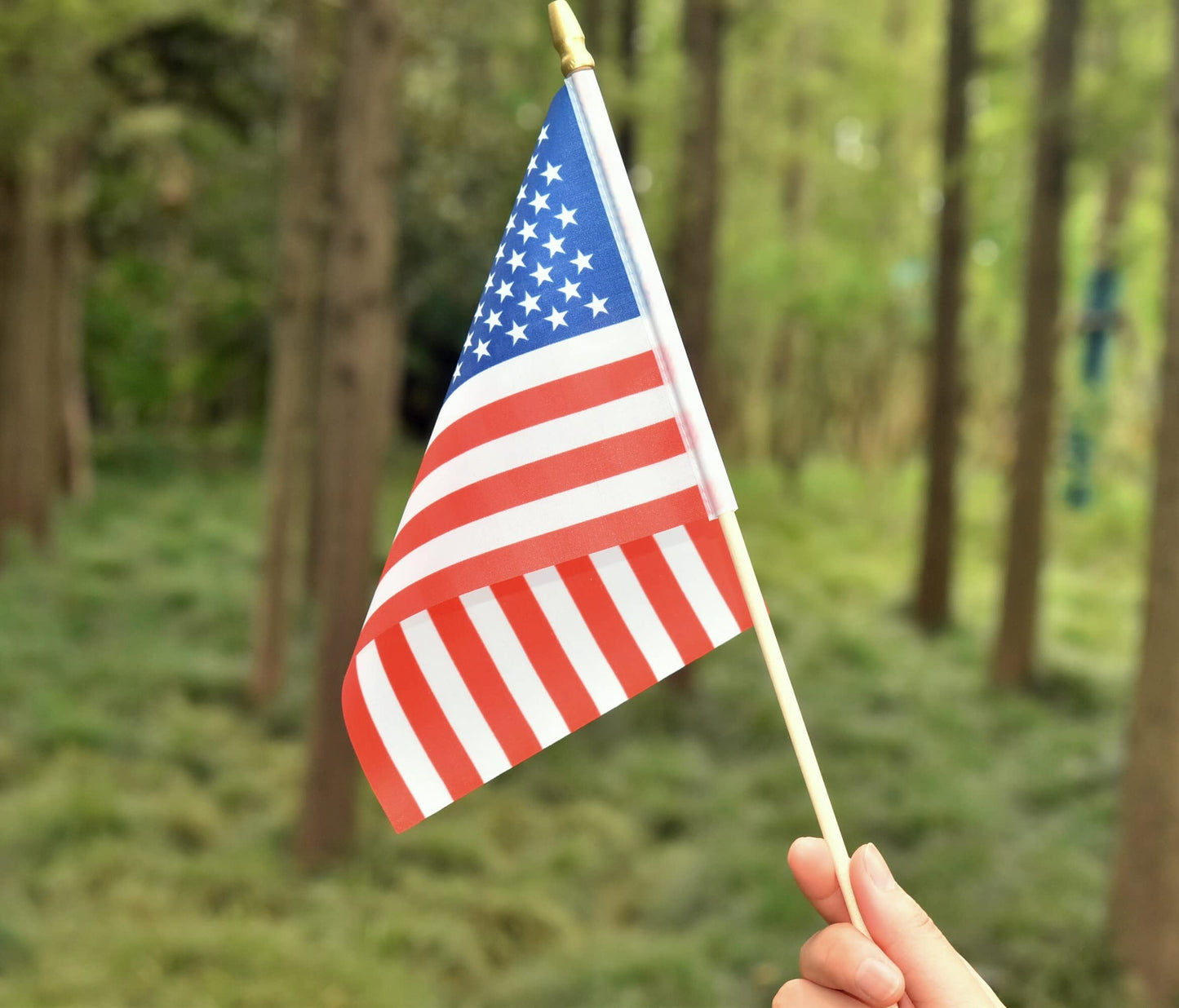 20Pack Small American Flag Mini Usa Flag For July 4th Decoration