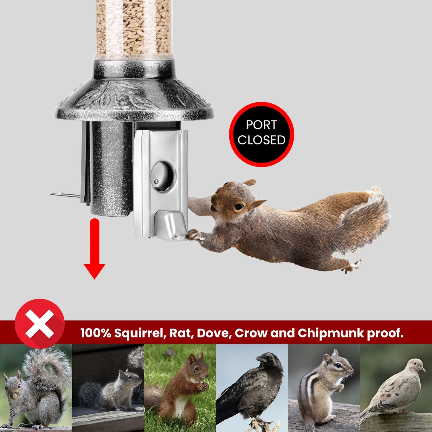 🐦Squirrel-Proof Bird Feeder 2.0 – Antique Platinum Finish