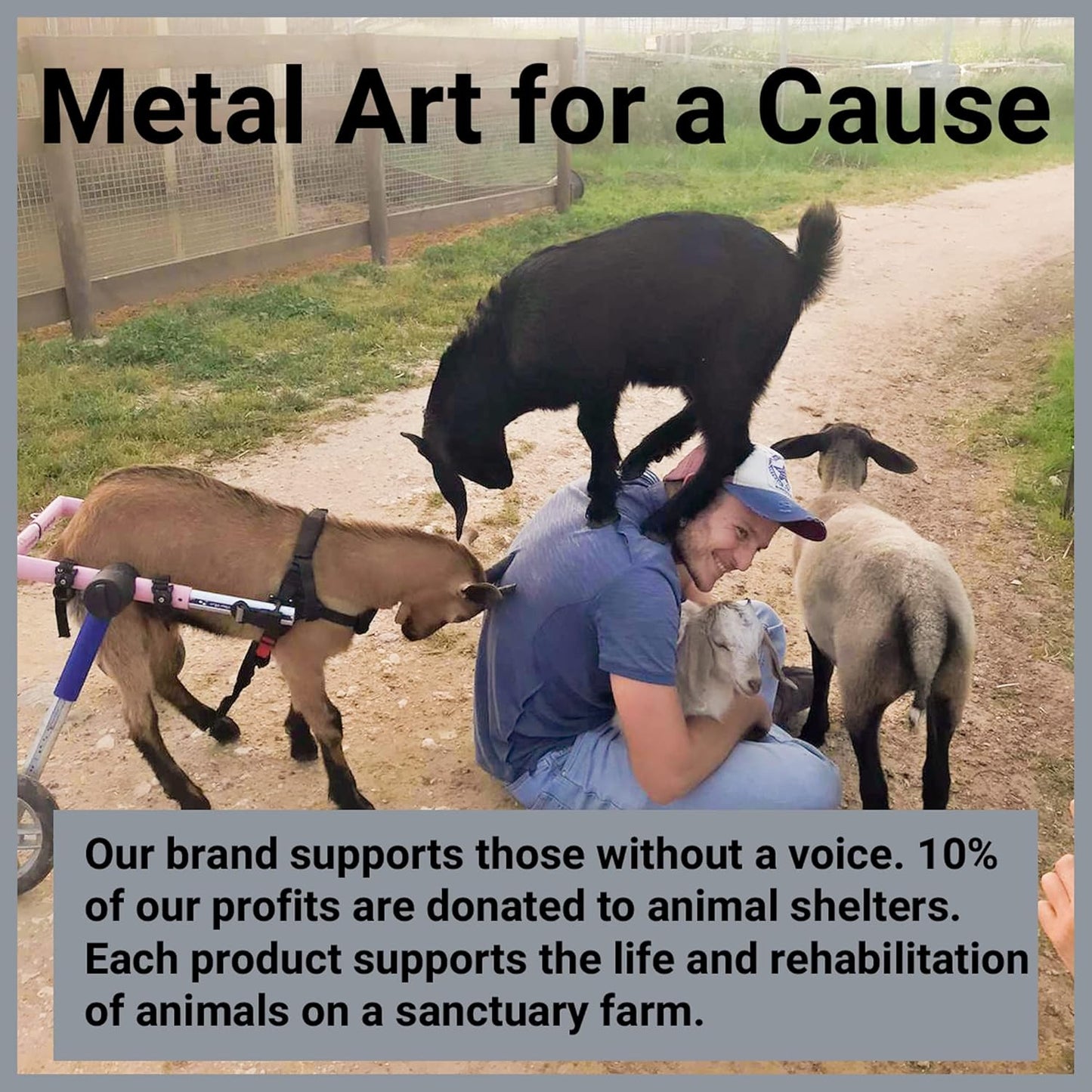 🐶Dog Metal Wall Art, Puppy Metal Wall Decor, Dog Lovers Gift Pet Home Decor